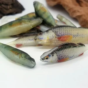 SoftPerch réaliste - leurre souple verticale et drop-shot