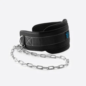Ceinture de Lest