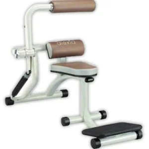 dis_400080_f.jpgv1735047481 Back Extension