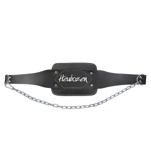 Ceinture lestable