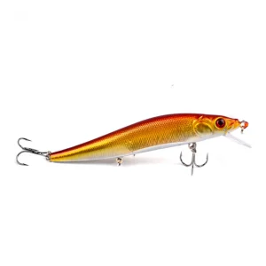 Lot de 2 Leurres carnassier poisson nageur jerkbait
