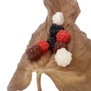 Mûres - conditionnement par 5